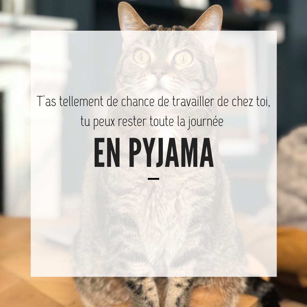 Décoratrice d’intérieur à mon compte : les idées reçues sur notre métier